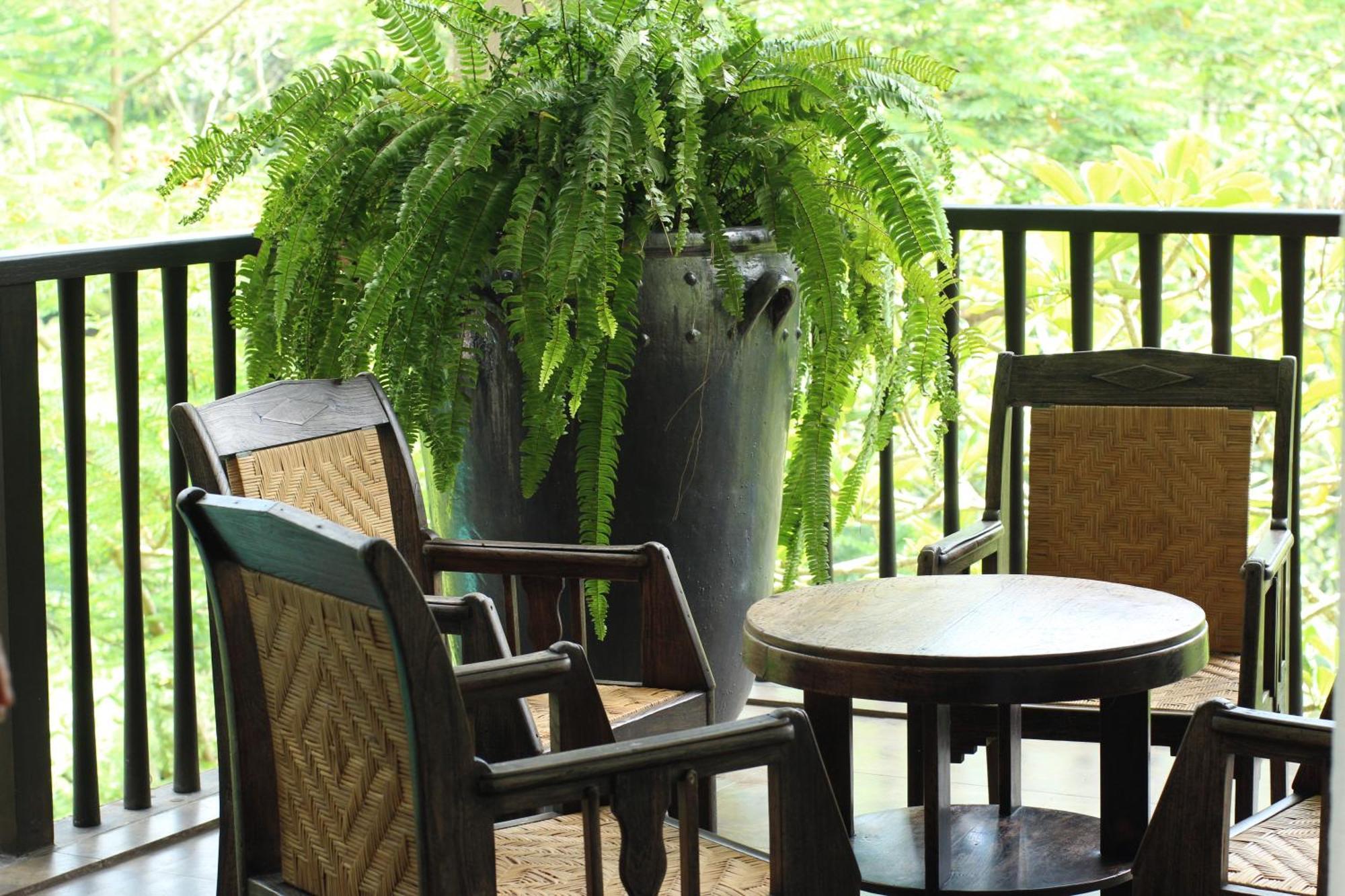 Villa Naga Putih Ubud  Luaran gambar