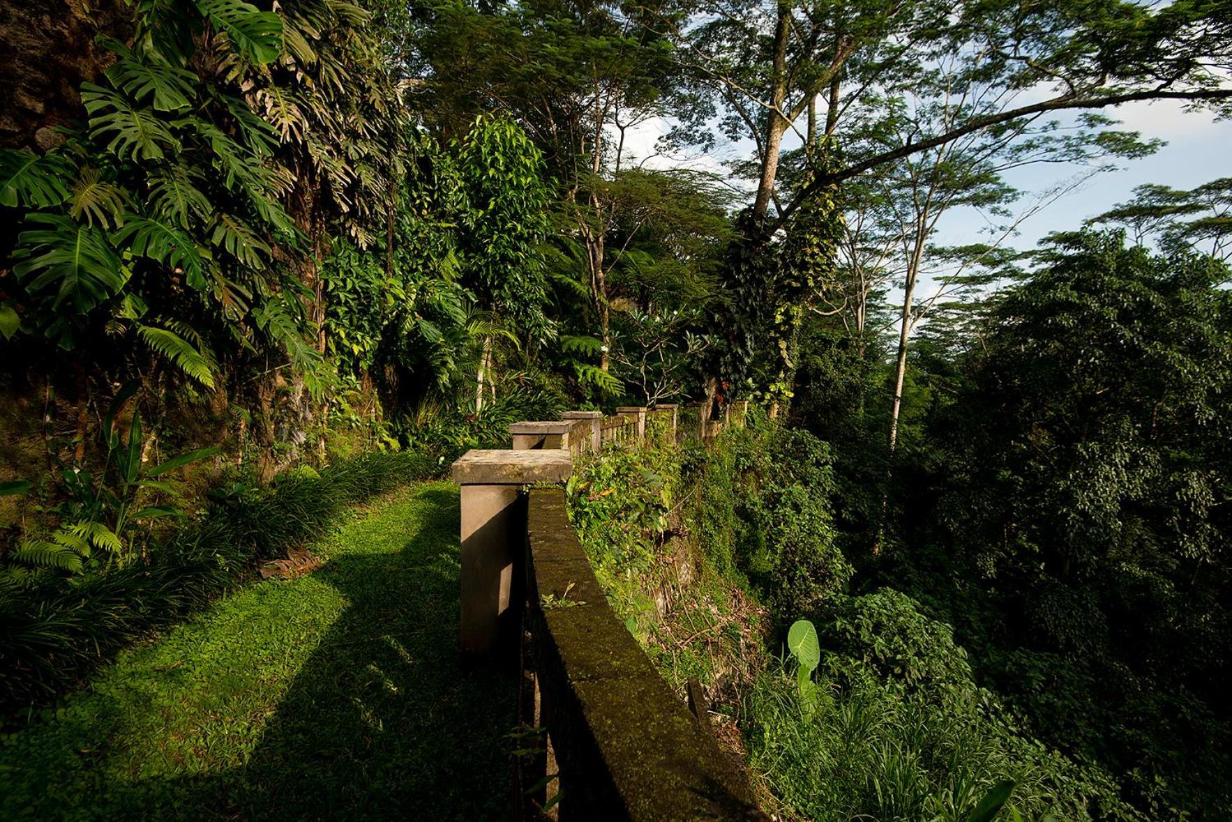 Villa Naga Putih Ubud  Luaran gambar