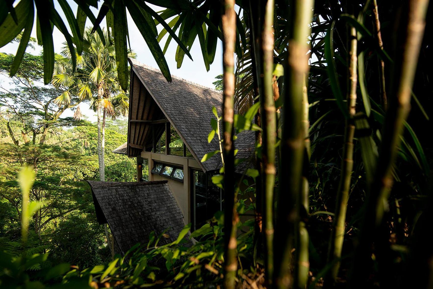 Villa Naga Putih Ubud  Luaran gambar